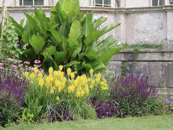 More colour from Kingston Lacey.