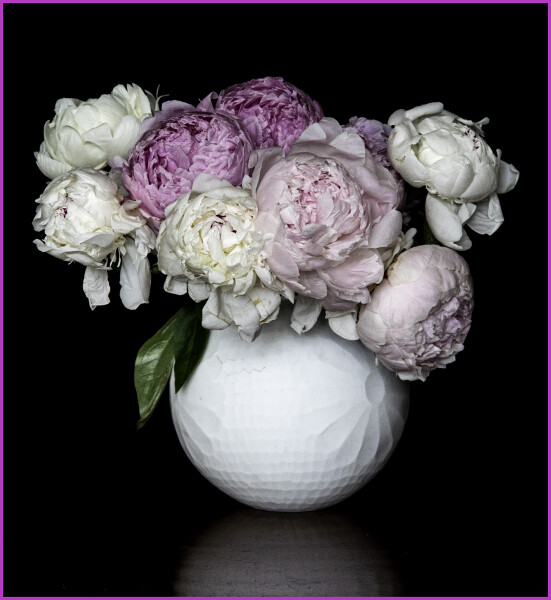 Peonies Are Showoffs...