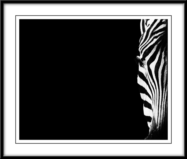 STRIPES ( minimalism)