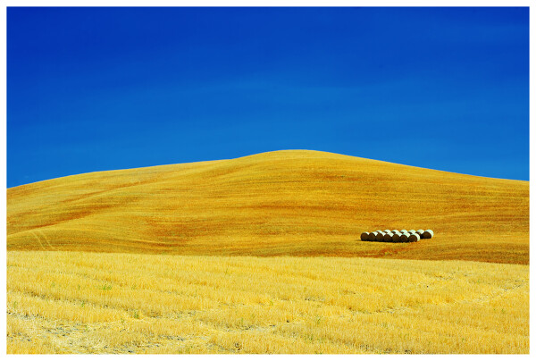 Thirds