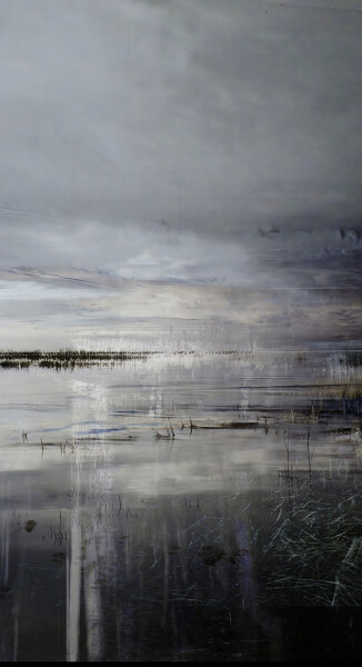 Tidal Marshes
