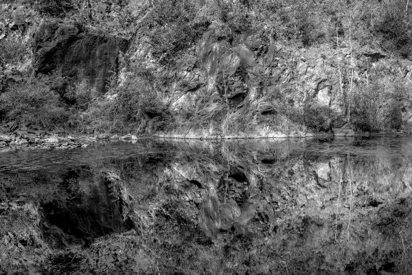 Upon Reflection