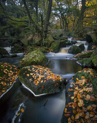 Padley