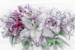 Indoor Collection - Awarded Photo of the Week