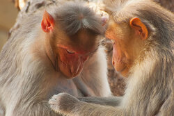 Intimacy - Awarded Photo of the Week