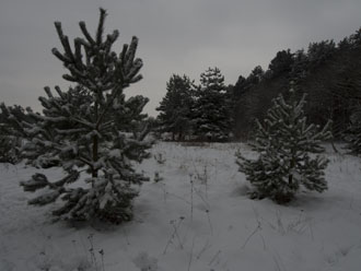 snow exposed with spot metering from light area