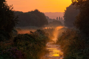 Mist at Dawn - Awarded Photo of the Week