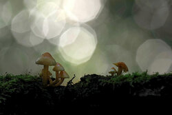 On a journey - Awarded Photo of the Week