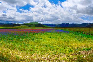 PANO Grande - Awarded Photo of the Week