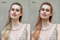PortraitPro Sale