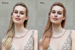 PortraitPro Sale