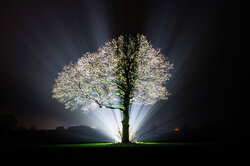 Sleeping Sentinel - Awarded Photo of the Week