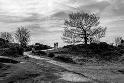 Two lonely people - Awarded Photo of the Week