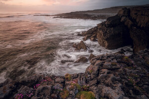 Whispers of the Atlantic - Awarded Photo of the Week