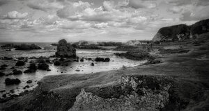 Yesterday's morning walk - Awarded Photo of the Week